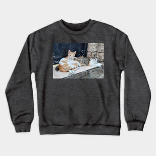 Two cute kittens Crewneck Sweatshirt